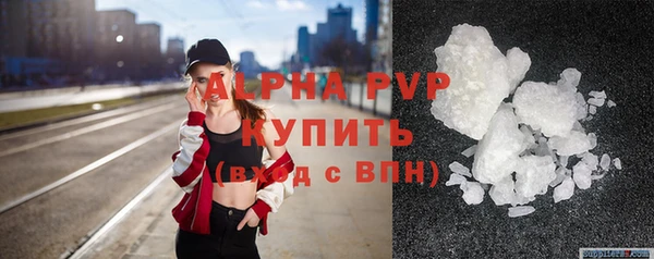 стафф Арсеньев