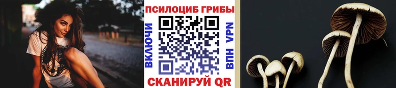 Галлюциногенные грибы Psilocybe  Советский 